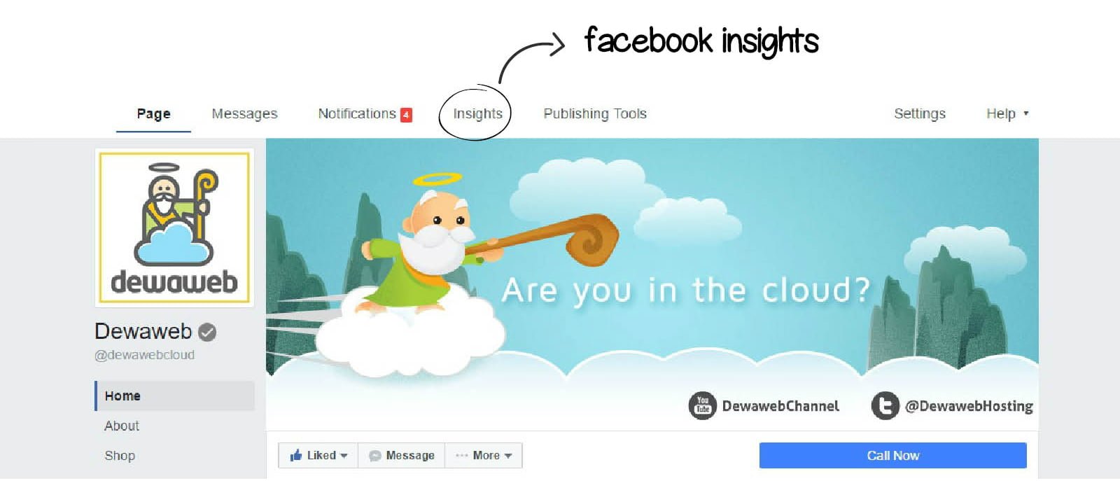 FACEBOOK-INSIGHTS2